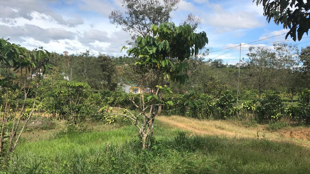 Bao Loc Homestay Eksteriør billede